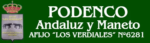 Podenco Andaluz y Maneto